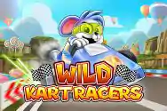 WILD KART RACERS?v=6.0